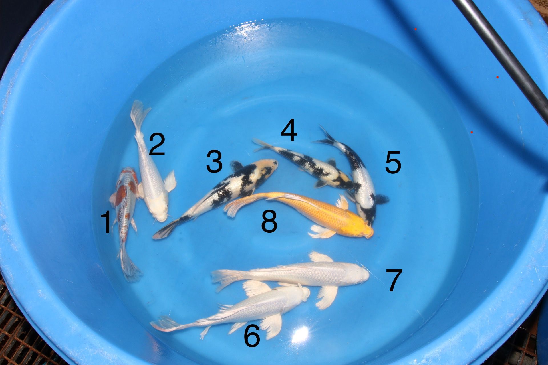 Box 3 Image