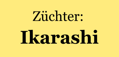 Ikarashi
