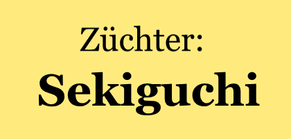 Sekiguchi