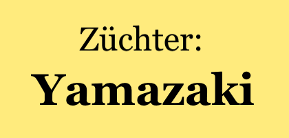Yamazaki