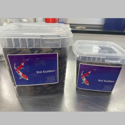 koi-gulden1